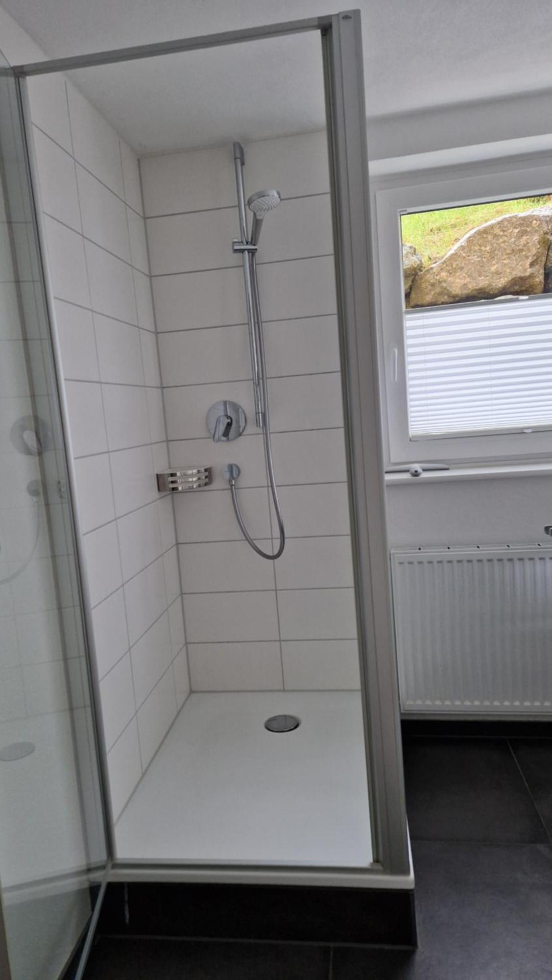 Single Mini Feldberg (Baden-Wurttemberg)